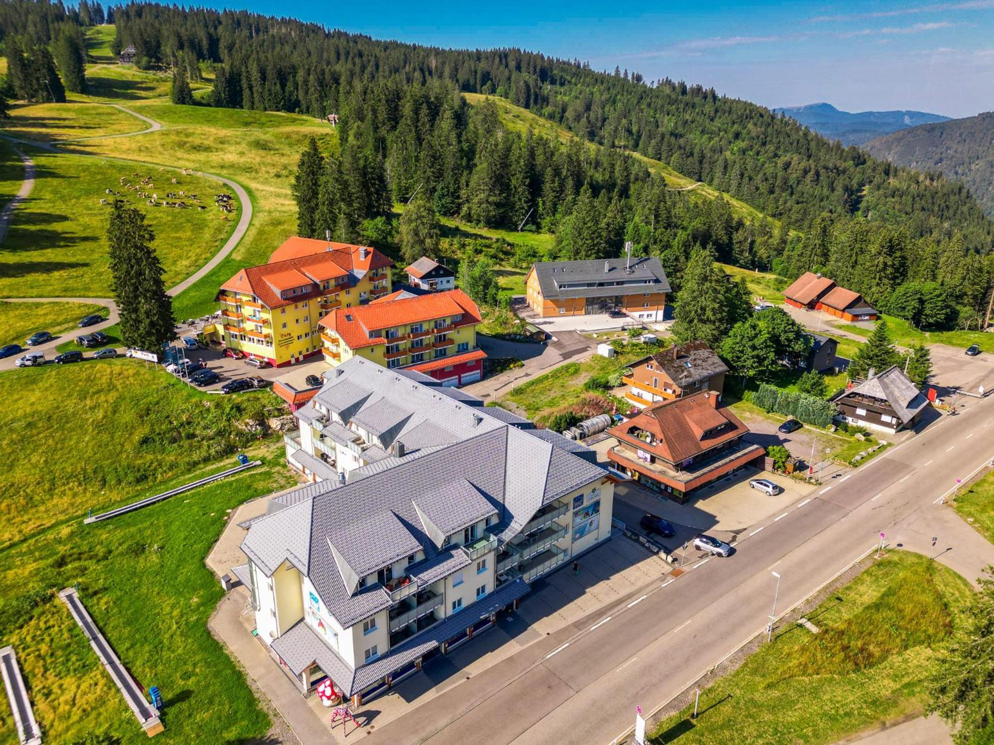 Feldberg Domizil - Residenz Grafenmatt Rinken Exterior foto