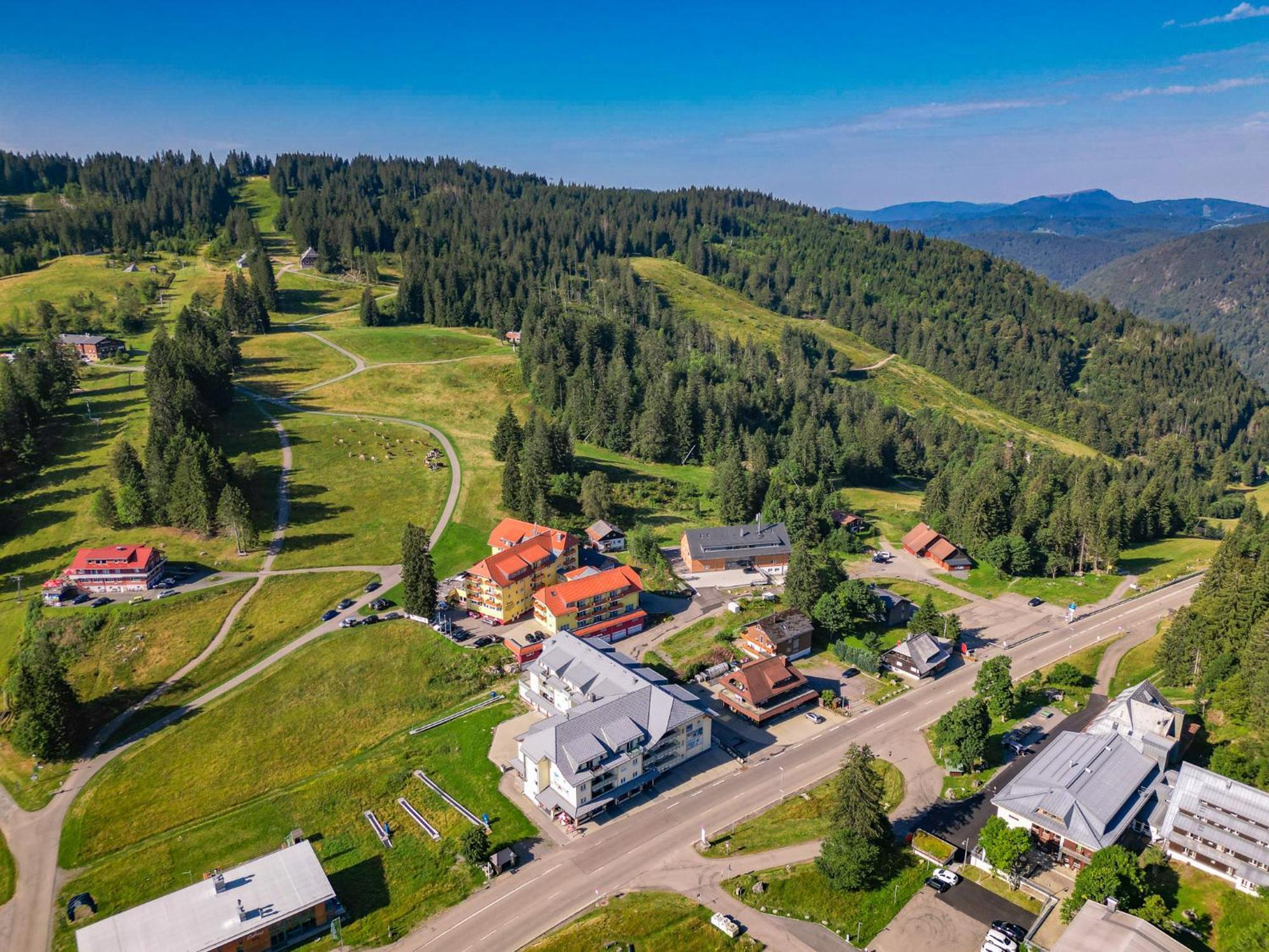 Feldberg Domizil - Residenz Grafenmatt Rinken Exterior foto