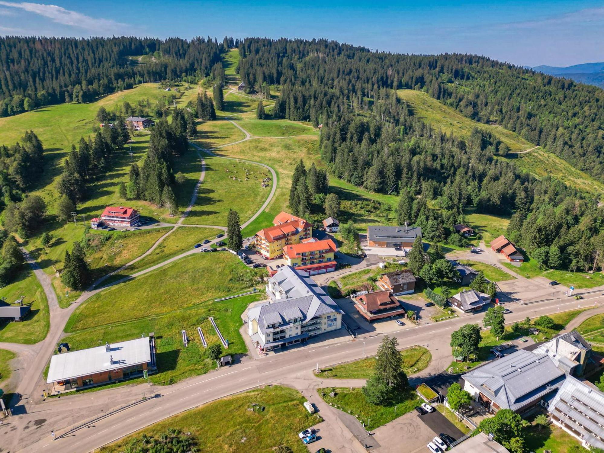 Feldberg Domizil - Residenz Grafenmatt Rinken Exterior foto